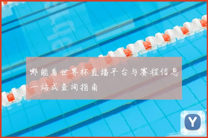 哪能看世界杯直播平台与赛程信息一站式查询指南