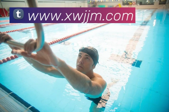 世界杯app官网服务体系